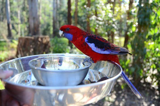 Grants Picnic Ground